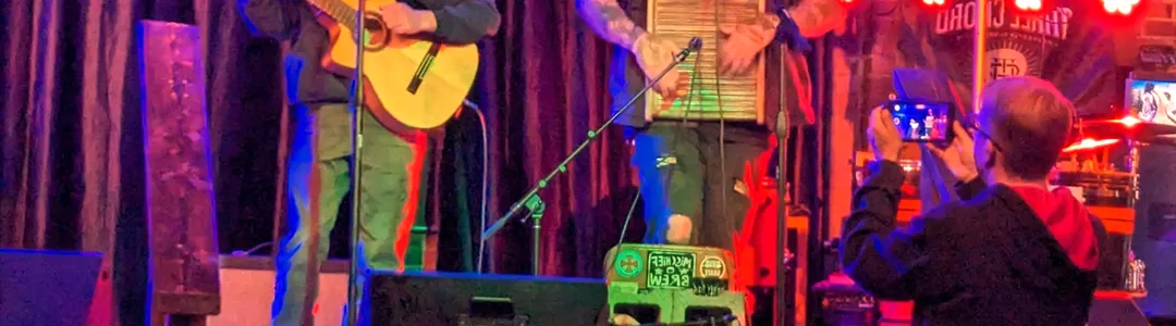 Can You Feel The Punk Tonight