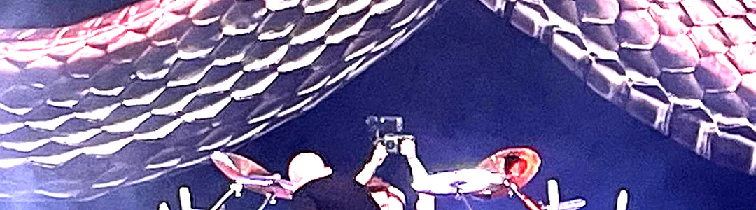 Five Finger Death Punch