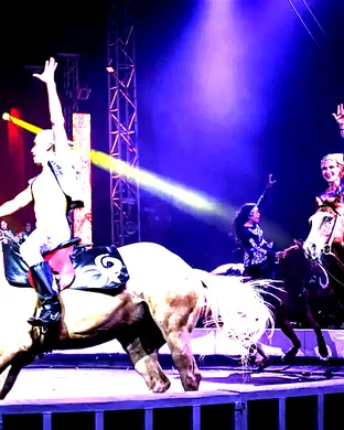 Garden Bros Nuclear Circus