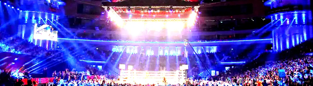 Micro Wrestling Federation