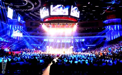 Micro Wrestling Federation