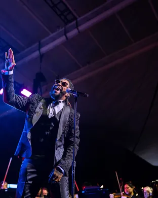 Raheem DeVaughn St. Louis