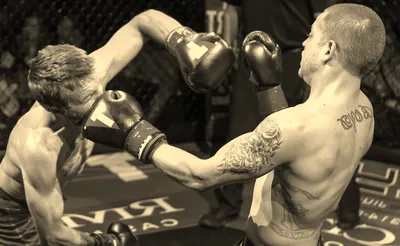 Shamrock FC Mixed Martial Arts