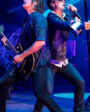 Stone Temple Pilots