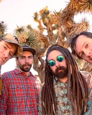 The Kitchen Dwellers