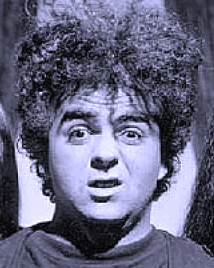 The Melvins St. Louis