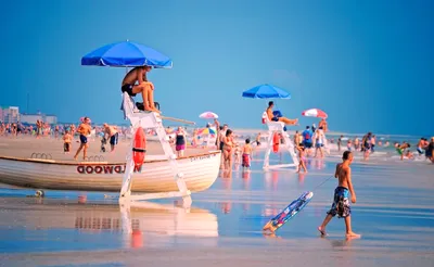 The Wildwoods