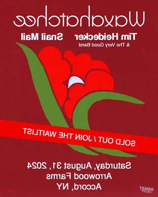 On Cinema: Tim Heidecker & Gregg Turkington