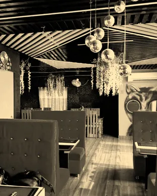 Zingara