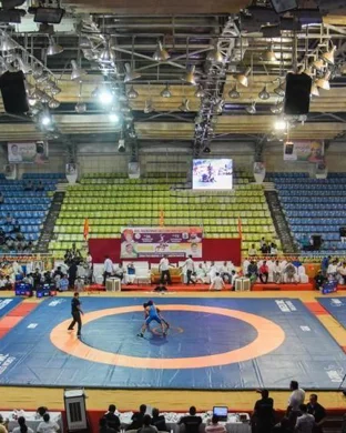 Micro Wrestling vs. Micro Wrestling